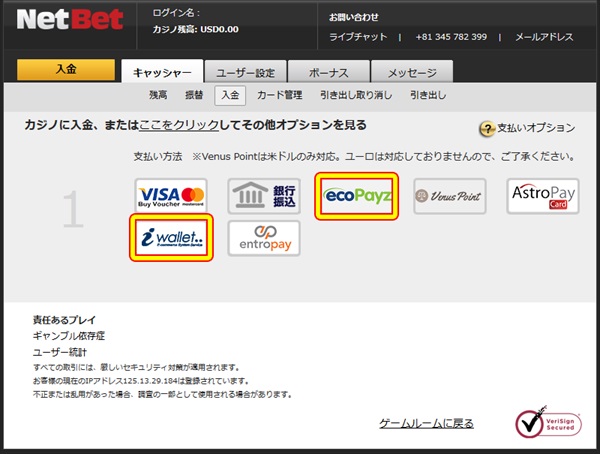 ネットベットカジノのキャッシャー