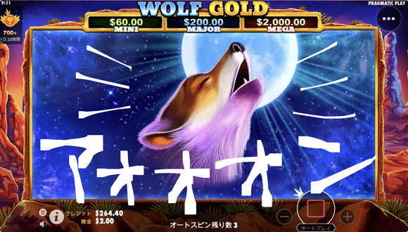 Wolf Goldの美しい狼