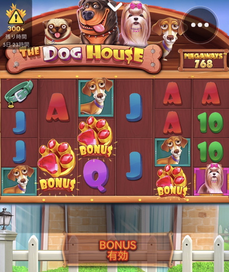 THE DOG HOUSE 一番安いフリースピン購入