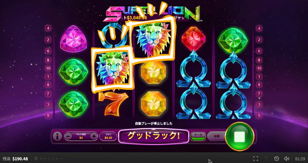 SUPER LION wild 2頭