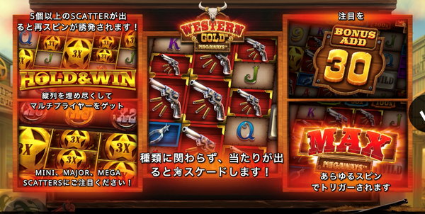 WESTERN GOLD 取扱い説明