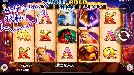 Wolf Gold