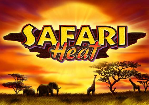 SAFARI　Heat