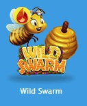 Wild Swarm