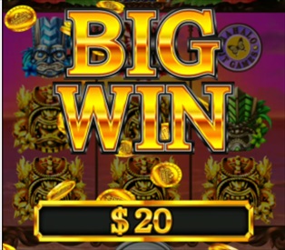 Hawaiian Dream　BigWin