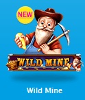 WILD MINE