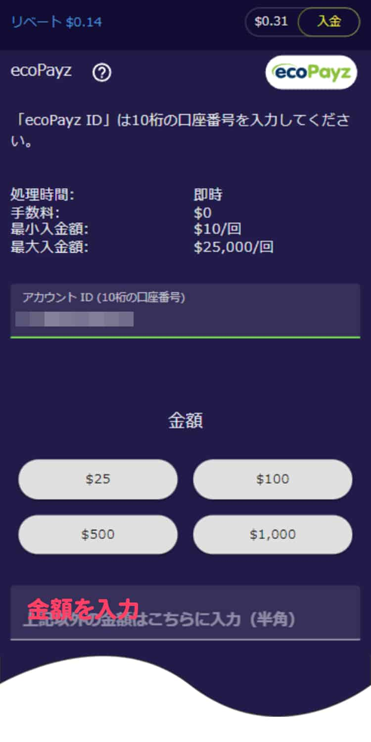 入金額が自動入力されていますので、「送金する」を押します