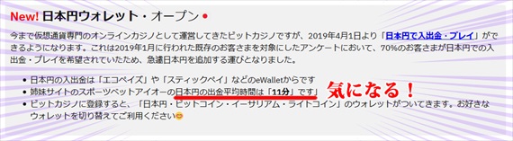 ビットカジノ日本円ウォレットデビュー