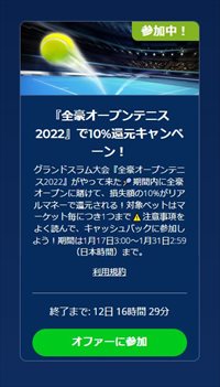 キャンペーン参加表明後の表示